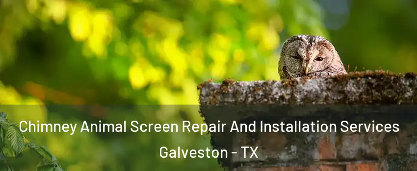  Chimney Animal Screen Repair And Installation Services Galveston - TX