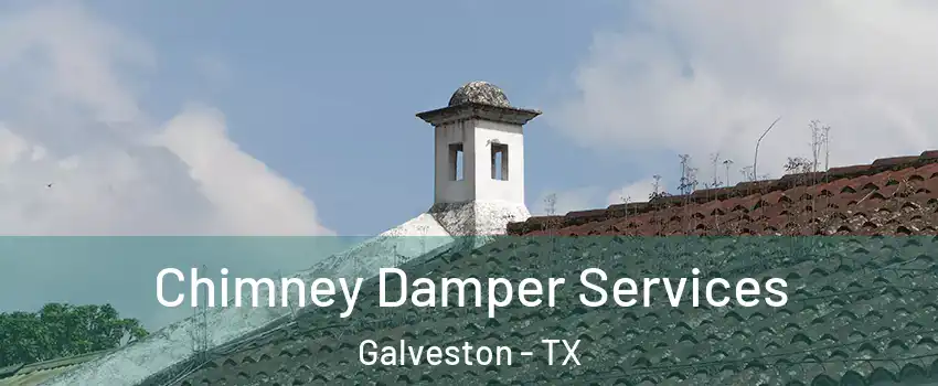  Chimney Damper Services Galveston - TX