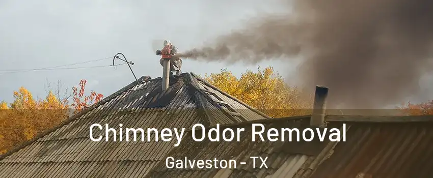  Chimney Odor Removal Galveston - TX