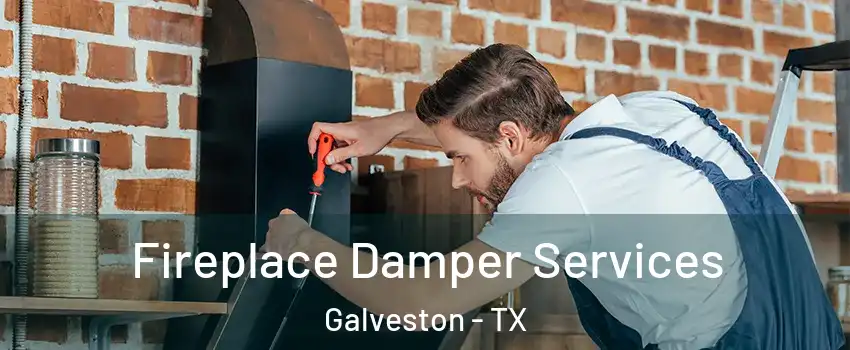  Fireplace Damper Services Galveston - TX