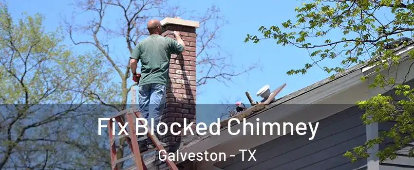  Fix Blocked Chimney Galveston - TX