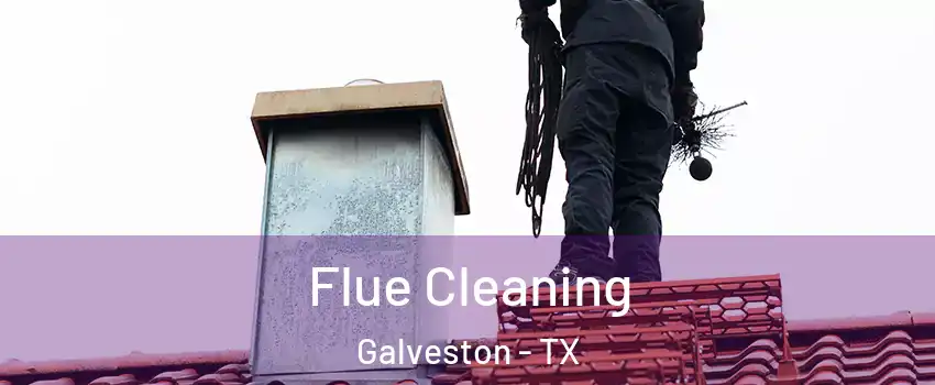  Flue Cleaning Galveston - TX