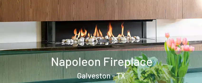  Napoleon Fireplace Galveston - TX