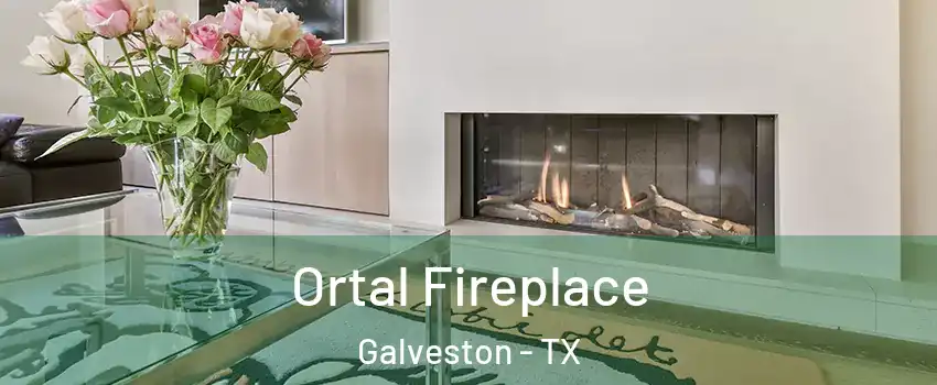  Ortal Fireplace Galveston - TX